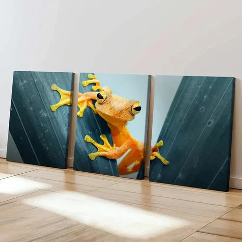 3pcs Yellow Tree Frog on Green Tree Wall Art Canvas Unframed – High Quality Print 100% Australian Made Wall Canvas