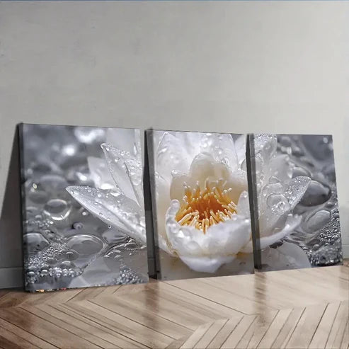 3pcs White Lotus Flowers Beauty Water Decorating Wall Art Set Canvas Unframed - High Quality Print 100% Australian Made Wall Canvas