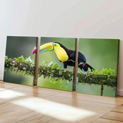 3pcs Bird Animal Art Toucan Portrait Wall Art Canvas Unframed – High Quality Print 100% Australian Made Wall Canvas - Bella Home Decor