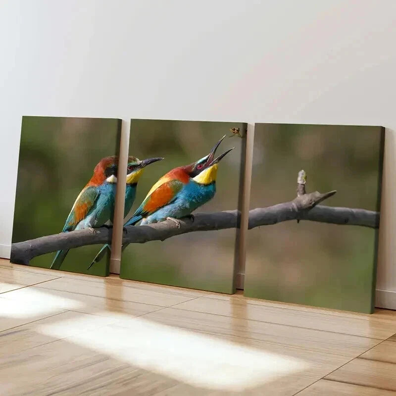 3pcs Bird On A Branch Animal Painting Wall Art Set Canvas Framed 50x70cm - High Quality Print 100% Australian Made Wall Canvas Ready to Hang - Bella Home Decor