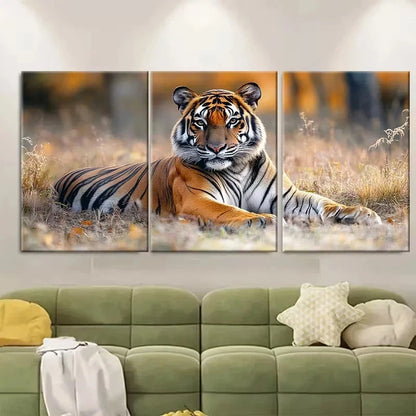 3pcs Resting in Tiger Reserve National Park Wall Art Set Canvas Framed 40x60cm - High Quality Print 100% Australian Made Wall Canvas Ready to Hang