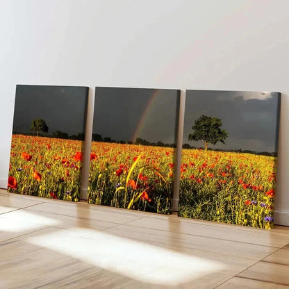 3pcs Vibrant Flower Field & Rainbow Landscape Wall Art Set Canvas Framed 40x60cm - High Quality Print 100% Australian Made Wall Canvas Ready to Hang - Bella Home Decor