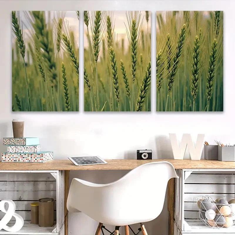 3pcs Green Wheat Fields Scene Wall Art Set Canvas Framed 50x70cm - High Quality Print 100% Australian Made Wall Canvas Ready to Hang