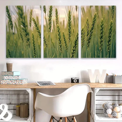 3pcs Green Wheat Fields Scene Wall Art Set Canvas Framed 50x70cm - High Quality Print 100% Australian Made Wall Canvas Ready to Hang