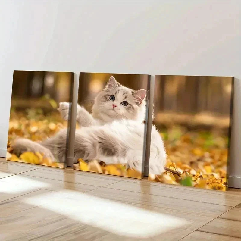 3pcs Cute Kitten in Autumn Splendor Wall Art Set Canvas Framed 50x70cm - High Quality Print 100% Australian Made Wall Canvas Ready to Hang - Bella Home Decor