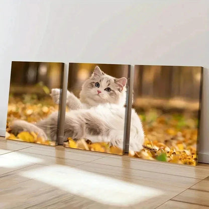 3pcs Cute Kitten in Autumn Splendor Wall Art Set Canvas Framed 50x70cm - High Quality Print 100% Australian Made Wall Canvas Ready to Hang - Bella Home Decor