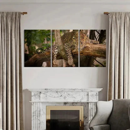 3pcs Vibrant Leopard Tree Climbing Wall Art Canvas Unframed - High Quality Print 100% Australian Made Wall Canvas