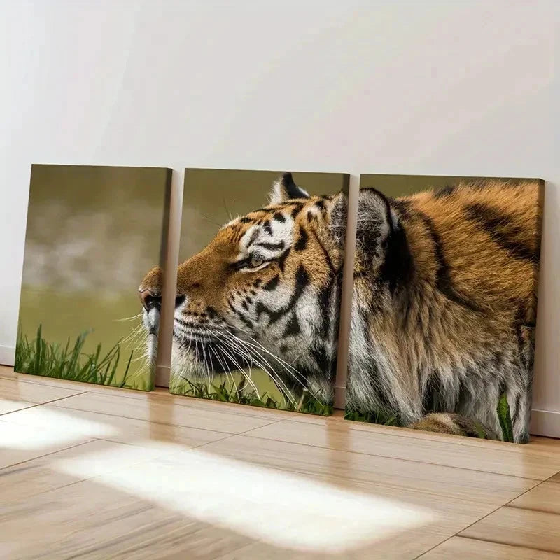 3pcs Tiger on a Grassland Decoration Wall Art Set Canvas Framed 50x70cm - High Quality Print 100% Australian Made Wall Canvas Ready to Hang