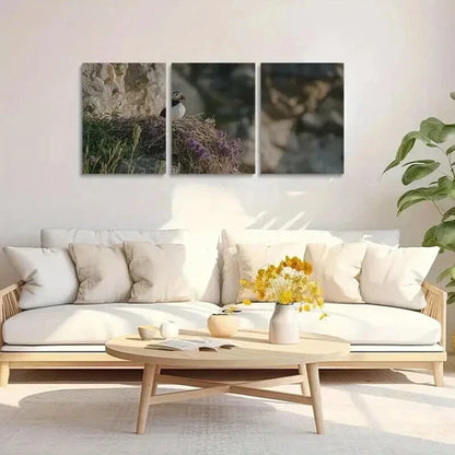 3pcs A Puffin is Sitting on the Edge of its Nest Art Set Canvas Unframed - High Quality Print 100% Australian Made Wall Canvas - Bella Home Decor