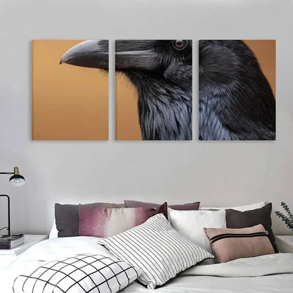 3pcs Black Raven Artwork Decoration   Wall Art Set Canvas Framed 50x70cm - High Quality Print 100% Australian Made Wall Canvas Ready to Hang - Bella Home Decor