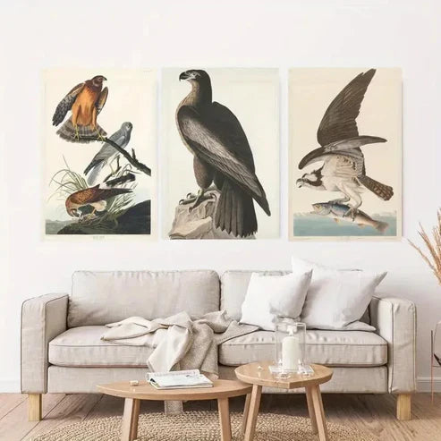 3pcs Elegant Bird Classic Art Deco Style Wall Art Set Canvas Unframed - High Quality Print 100% Australian Made Wall Canvas