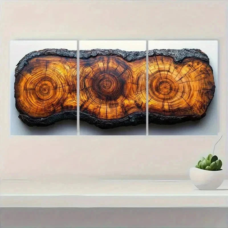 3pcs Tree Ring Prints Beauty R    Wall Art Set Canvas Framed 50x70cm - High Quality Print 100% Australian Made Wall Canvas Ready to Hang