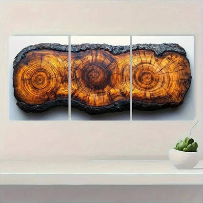 3pcs Tree Ring Prints Beauty R    Wall Art Set Canvas Framed 50x70cm - High Quality Print 100% Australian Made Wall Canvas Ready to Hang