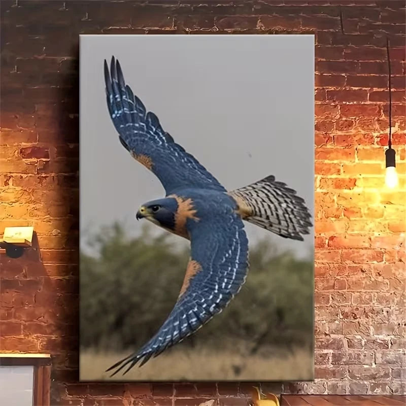 Falcon in Flight: Grace in Motion Metal Print Ready to Hang