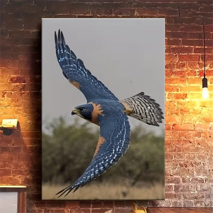 Falcon in Flight: Grace in Motion Metal Print Ready to Hang