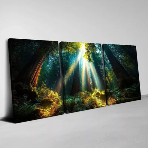 3pcs Enchanting Dark Forest Sunlight Scene Wall Art Set Canvas Unframed - High Quality Print 100% Australian Made Wall Canvas
