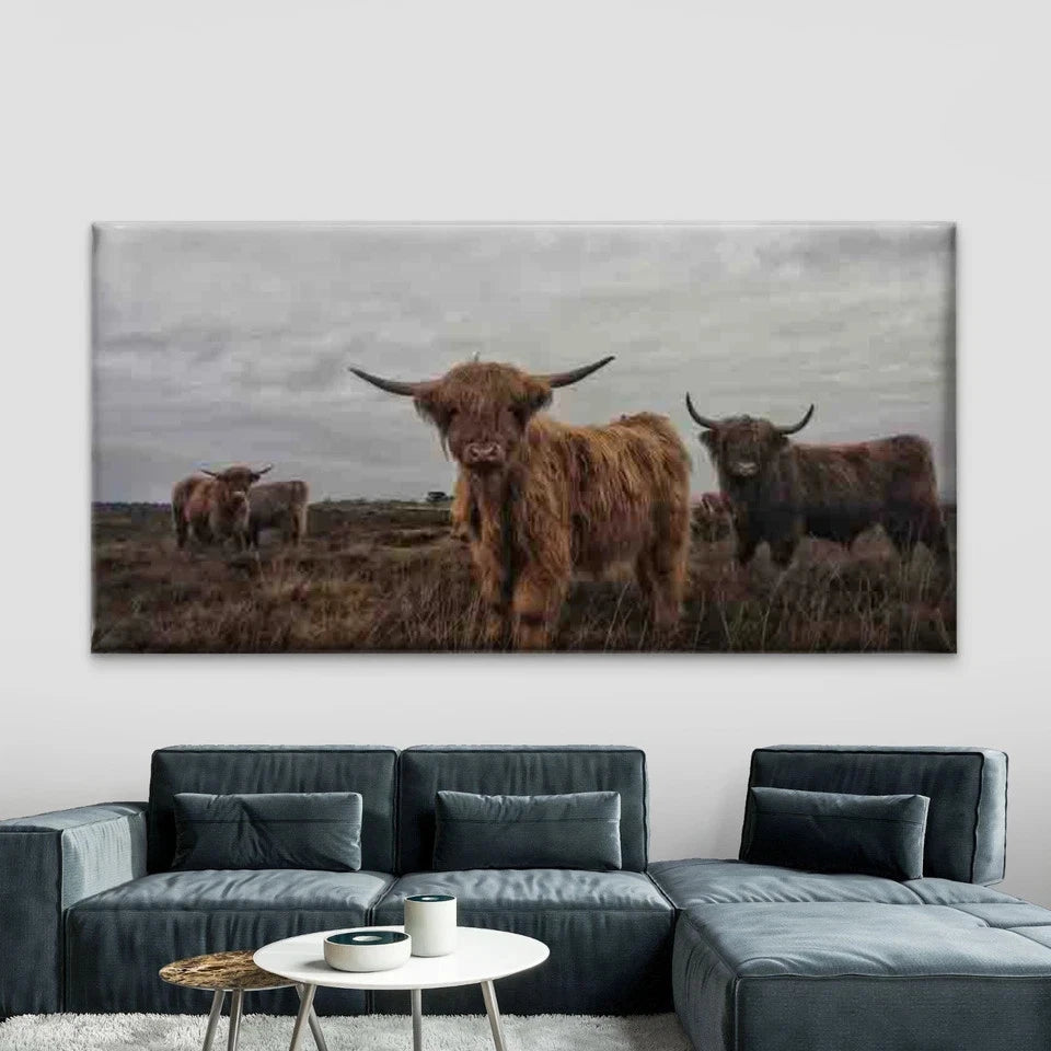 Highland Cows in a Field Wall Art Canvas Office Home Room Framed 120x60cm