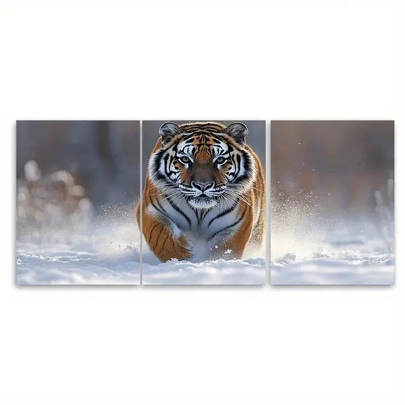 3pcs Snowy Tiger Vivid Wildlife SR  Wall Art Set Canvas Framed 50x70cm - High Quality Print 100% Australian Made Wall Canvas Ready to Hang