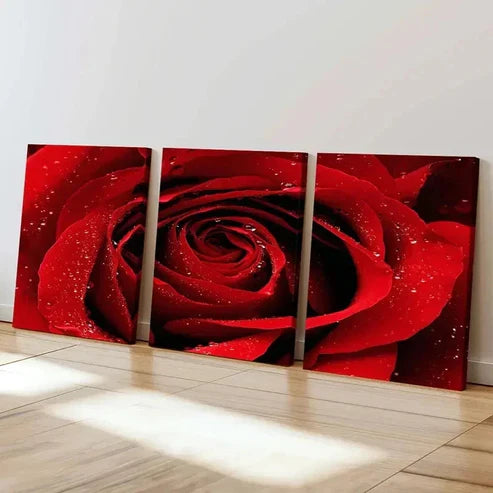 3pcs Floral Art Red Rose Flower Decor Wall Art Canvas Unframed - High Quality Print 100% Australian Made Wall Canvas