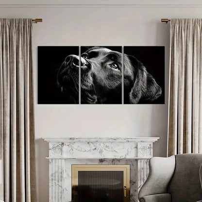 3pcs Black Labrador Retriever Art DecorWall Art Set Canvas Framed 40x60cm - High Quality Print 100% Australian Made Wall Canvas Ready to Hang - Bella Home Decor