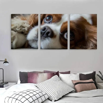 3pcs Cavalier King Charles Spaniel Dog   Wall Art Set Canvas Framed 60x90cm - High Quality Print 100% Australian Made Wall Canvas Ready to Hang - Bella Home Decor