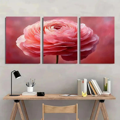 3pcs Pink Ranunculus Soft Pastel Flower Perfect Wall Art Set Canvas Framed 60x90cm - High Quality Print 100% Australian Made Wall Canvas Ready to Hang - Bella Home Decor