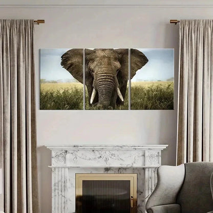 3pcs Elephant African Savanna Decoration Wall Art Set Canvas Framed 50x70cm - High Quality Print 100% Australian Made Wall Canvas Ready to Hang