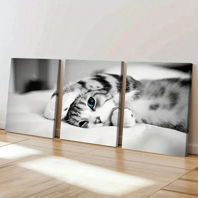 3pcs Pet Art Cute Cat Modern Decoration Wall Art Set Canvas Framed 50x70cm - High Quality Print 100% Australian Made Wall Canvas Ready to Hang - Bella Home Decor
