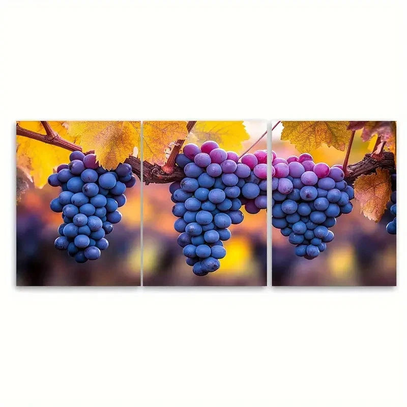 3pcs Grape Vineyard Harvest SD  Wall Art Set Canvas Framed 60x90cm - High Quality Print 100% Australian Made Wall Canvas Ready to Hang