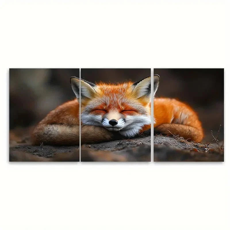 3pcs Sleeping FOX SF  Wall Art Set Canvas Framed 40x60cm - High Quality Print 100% Australian Made Wall Canvas Ready to Hang
