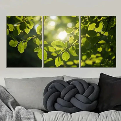 3pcs Vibrant Green Foliage with Golden Sunlight Wall Art Set Canvas Unframed - High Quality Print 100% Australian Made Wall Canvas