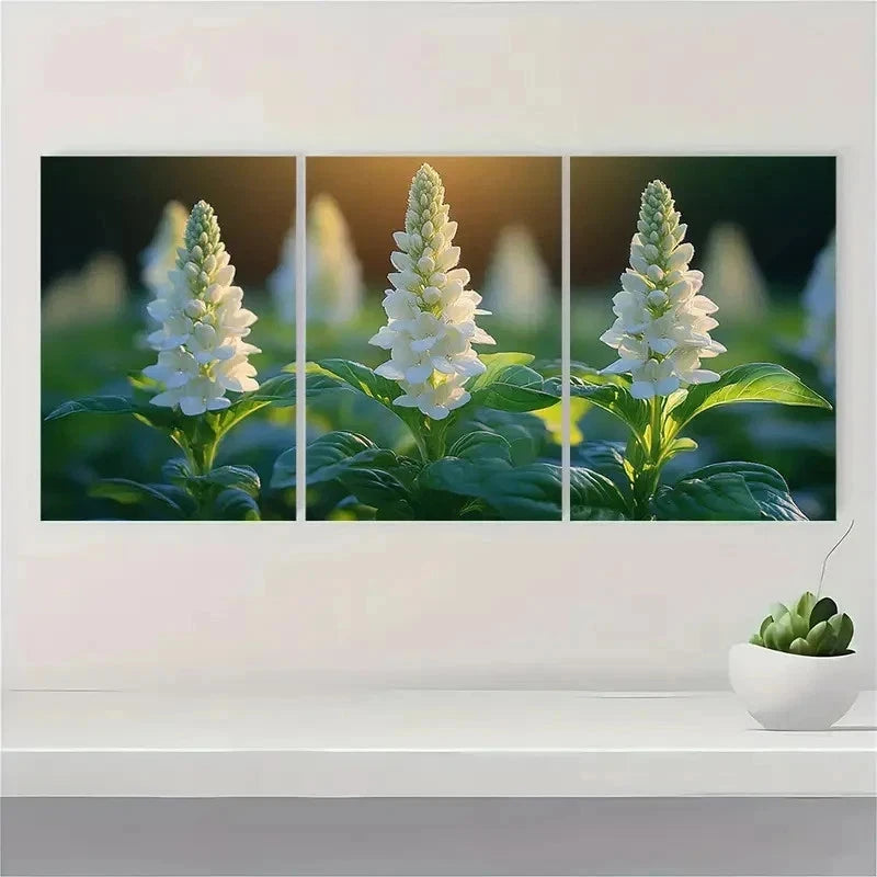 3pcs White Basil Flower Canvas Print SR    Wall Art Set Canvas Framed 40x60cm - High Quality Print 100% Australian Made Wall Canvas Ready to Hang - Bella Home Decor
