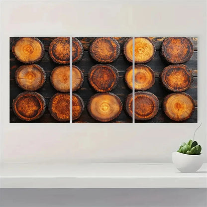 3pcs Tree Rings Animal Illustrations TR   Framed Wall Art Set Canvas Framed 50x70cm - High Quality Print 100% Australian Made Wall Canvas Ready to Hang