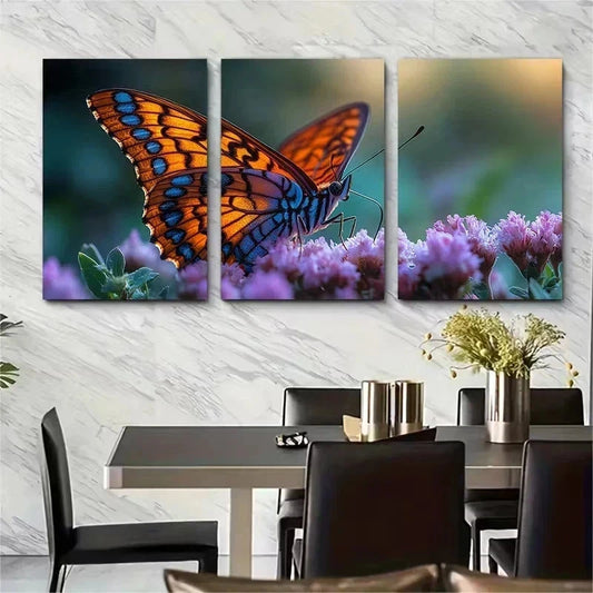 3pcs Vibrant Butterfly Macro Photography Wall Art Set Canvas Framed 50x70cm - High Quality Print 100% Australian Made Wall Canvas Ready to Hang