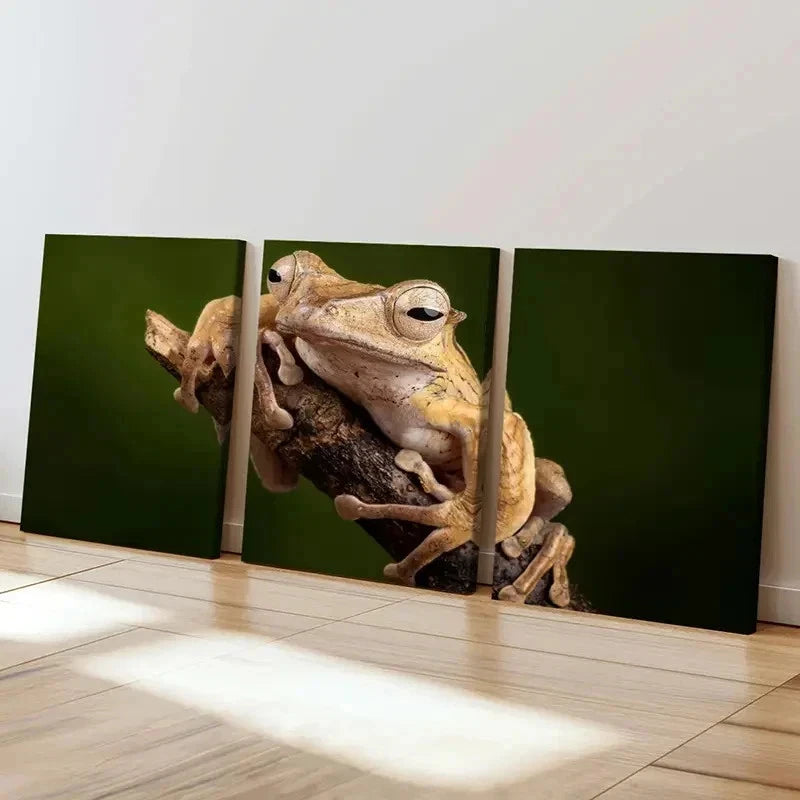 3pcs Tree Frog Lying On A Branch Print Wall Art Set Canvas Framed 40x60cm - High Quality Print 100% Australian Made Wall Canvas Ready to Hang - Bella Home Decor