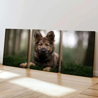 3pcs Brownish Dog Puppy Sitting on Grass Wall Art Set Canvas Framed 50x70cm - High Quality Print 100% Australian Made Wall Canvas Ready to Hang - Bella Home Decor