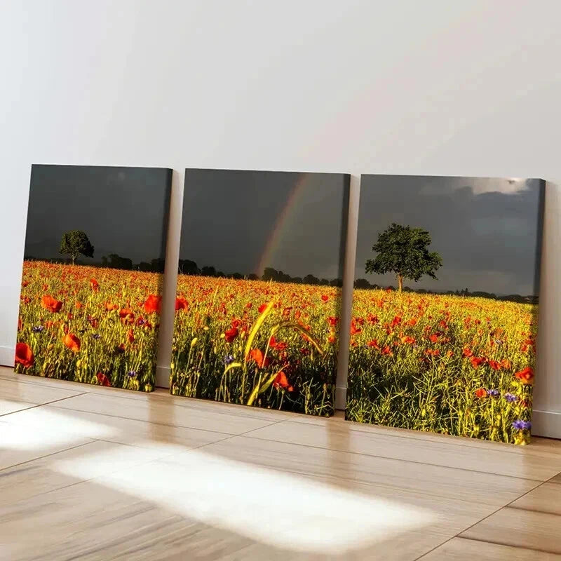 3pcs Vibrant Flower Field & Rainbow Landscape Wall Art Set Canvas Framed 60x90cm - High Quality Print 100% Australian Made Wall Canvas Ready to Hang - Bella Home Decor