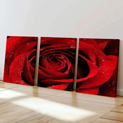 3pcs Floral Art Red Rose Flower Decor Wall Art Set Canvas Framed 40x60cm - High Quality Print 100% Australian Made Wall Canvas Ready to Hang