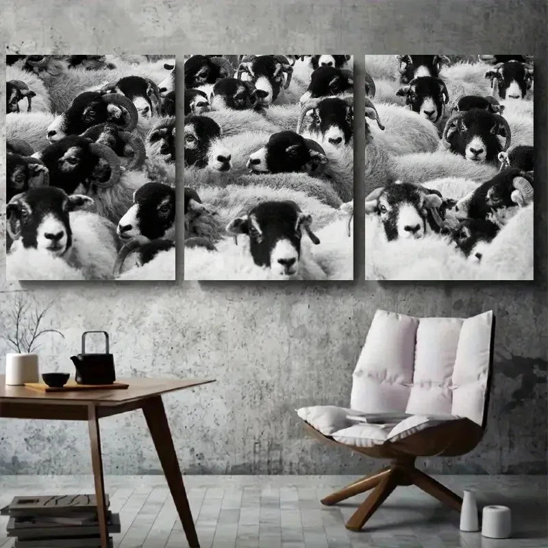 3pcs Close Up Black and White Sheep Metal Print Ready to Hang Art - Bella Home Decor