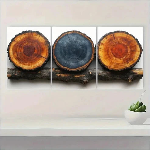 3pcs Tree Rings Illustrations Minimalist Wall Art Canvas Unframed - High Quality Print 100% Australian Made Wall Canvas