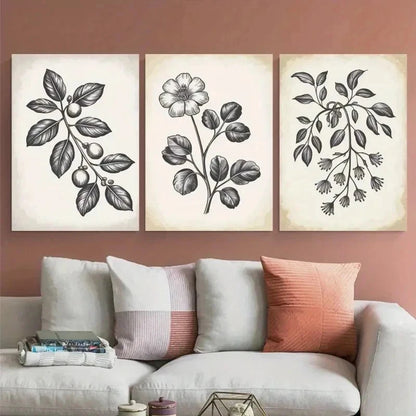 3pcs Botanical Illustration Canvas   Wall Art Set Canvas Framed 50x70cm - High Quality Print 100% Australian Made Wall Canvas Ready to Hang - Bella Home Decor