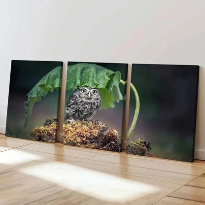 3pcs Bird Art Cute Owl Under a  Leaf Modern Wall Art Set Canvas Framed 60x90cm - High Quality Print 100% Australian Made Wall Canvas Ready to Hang - Bella Home Decor