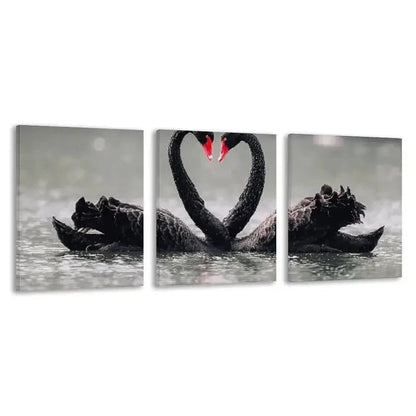3pcs Two Black Swans in the Water Decoration    Wall Art Set Canvas Framed 60x90cm - High Quality Print 100% Australian Made Wall Canvas Ready to Hang - Bella Home Decor