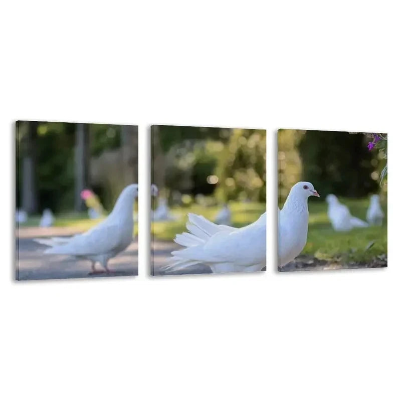 3pcs Elegant Dove Painting with White Doves on  Wall Art Set Canvas Framed 50x70cm - High Quality Print 100% Australian Made Wall Canvas Ready to Hang