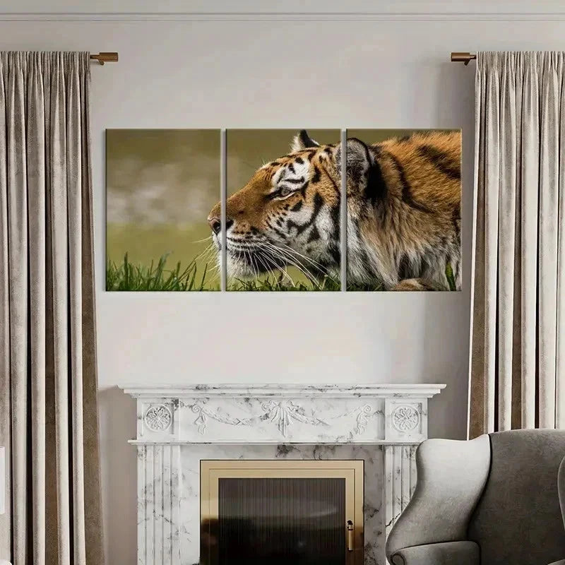3pcs Tiger on a Grassland Decoration Wall Art Set Canvas Framed 50x70cm - High Quality Print 100% Australian Made Wall Canvas Ready to Hang