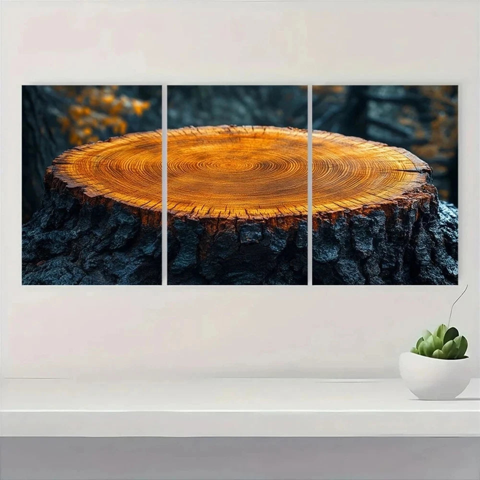 3pcs Tree Ring Vibrant Orange Tree Rings Metal Print Ready to Hang Art - Bella Home Decor