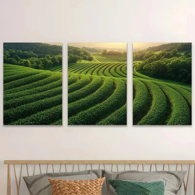 3pcs Drone Over Agricultural Field Wall Art Set Canvas Framed 60x90cm - High Quality Print 100% Australian Made Wall Canvas Ready to Hang - Bella Home Decor
