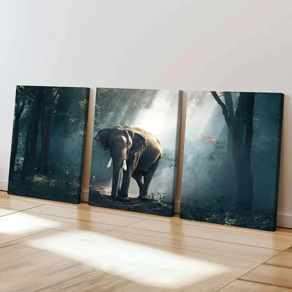 3pcs Elephant in Enchanted Forest Landscape Wall Art Set Canvas Framed 50x70cm - High Quality Print 100% Australian Made Wall Canvas Ready to Hang