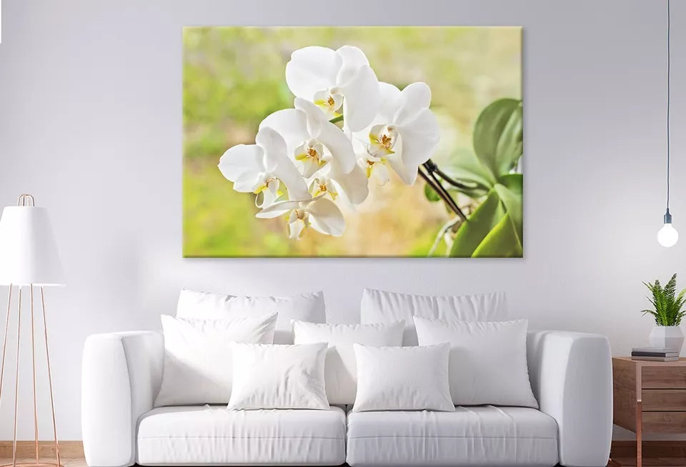 Elegant White Orchid FlowersWall Art Decor 100% Australian Made - Bella Home Decor