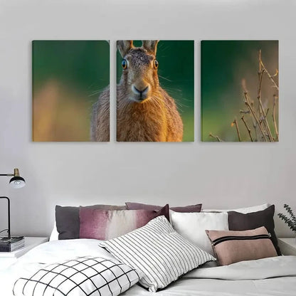 3pcs A Brown Hare In The Forest    Wall Art Set  Canvas Framed 50x70cm - High Quality Print 100% Australian Made Wall Canvas Ready to Hang - Bella Home Decor